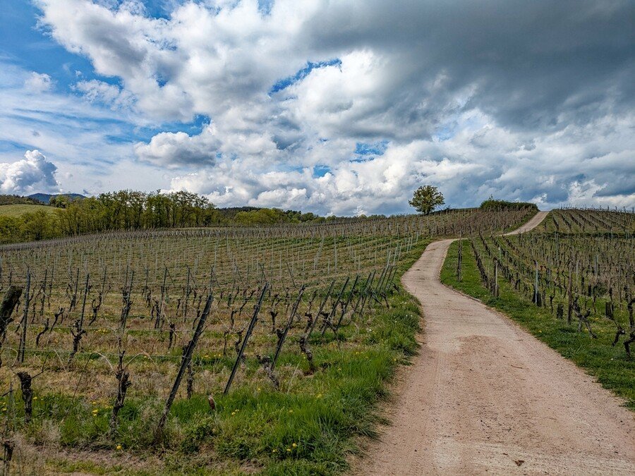 Photo club Vosgien de Barr le patrimoine Alsacien du club Vosgien