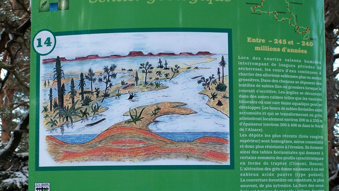 Randonnée en Sentier géologique de Barr en Alsace