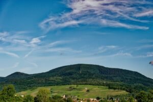 Image de Edité par Gérard Grucker