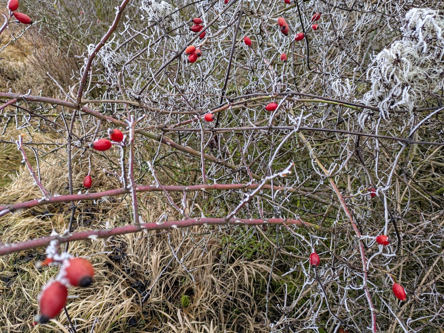 Randonnée au Pays de la Zorn